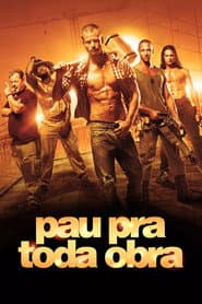 Poster for Pau pra Toda Obra
