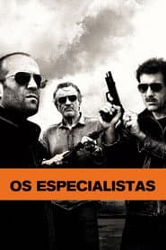 Pôster de Os Especialistas