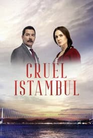 Poster for Cruel Istambul
