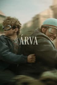 Poster for O Órfão