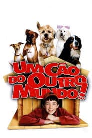 Pôster de Um Cão de Outro Mundo