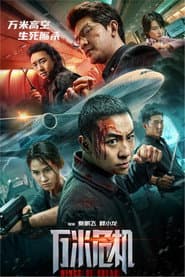 Pôster de 万米危机