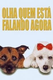 Poster for Olha Quem Está Falando Agora
