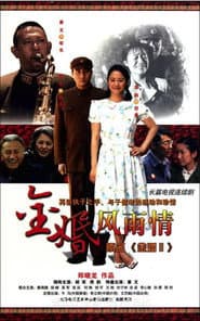 Poster for 金婚·风雨情