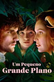 Pôster de Um Pequeno Grande Plano