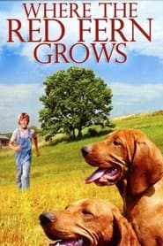 Pôster de Where the Red Fern Grows