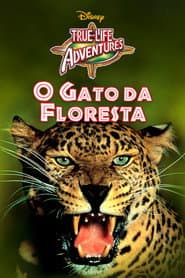 Pôster de O Gato da Floresta
