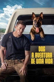 Pôster de Dog - A Aventura de Uma Vida