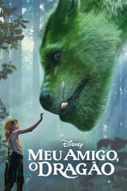 Pôster de Meu Amigo, O Dragão