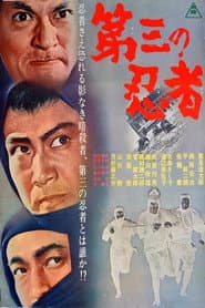 Pôster de 第三の忍者