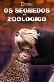 Poster for Os Segredos do Zoológico