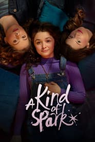 Pôster de A Kind of Spark