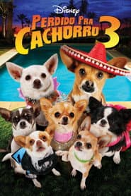Pôster de Perdido pra Cachorro 3