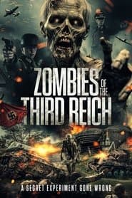 Pôster de Zombies of the Third Reich
