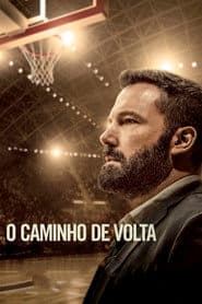 Pôster de O Caminho de Volta