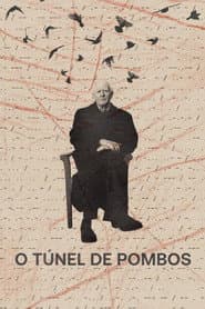 Poster for O Túnel de Pombos