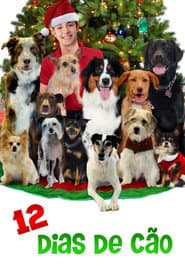 Pôster de 12 Dias de Cão