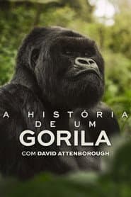 Pôster de A História de Um Gorila com David Attenborough