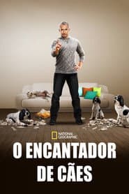 Pôster de O Encantador de Cães