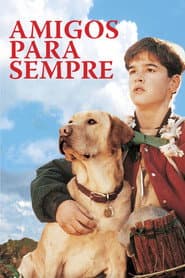 Poster for Amigos para Sempre