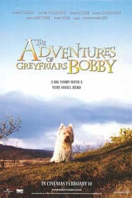 Pôster de As Aventuras de Bobby