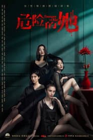 Poster for 危险的她