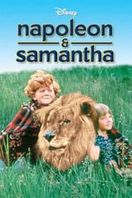 Pôster de Napoleão e Samantha
