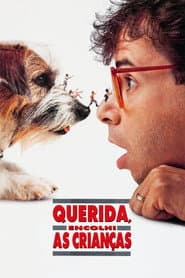Poster for Querida, Encolhi as Crianças