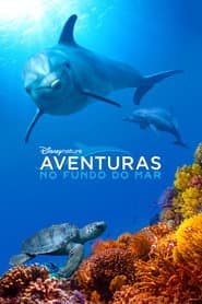 Pôster de Aventuras no Fundo do Mar