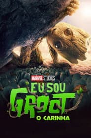 Pôster de O Carinha