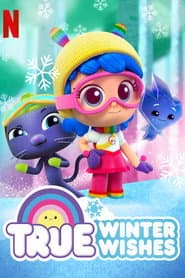 Pôster de Vera - Sonhos de Inverno