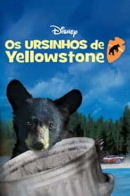 Poster for Os Ursinhos de Yellowstone