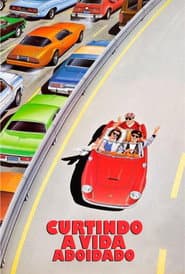 Poster for Curtindo a Vida Adoidado