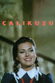 Pôster de Çalıkuşu
