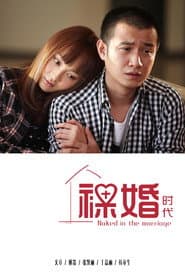 Poster for 裸婚时代