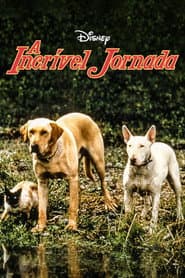 Pôster de A Incrível Jornada