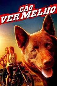 Pôster de Cão Vermelho