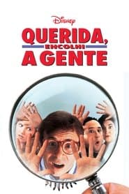 Poster for Querida, Encolhi a Gente
