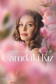Pôster de Camdaki Kız