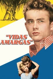 Pôster de Vidas Amargas