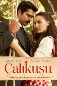 Pôster de Çalıkuşu