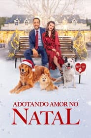 Pôster de Adotando Amor no Natal