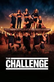 Pôster de The Challenge