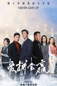 Poster for Nunca Desista
