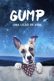 Pôster de Gump: Uma Lição de Vida
