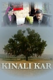 Pôster de Kınalı Kar