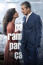 Poster for Vidas Partidas